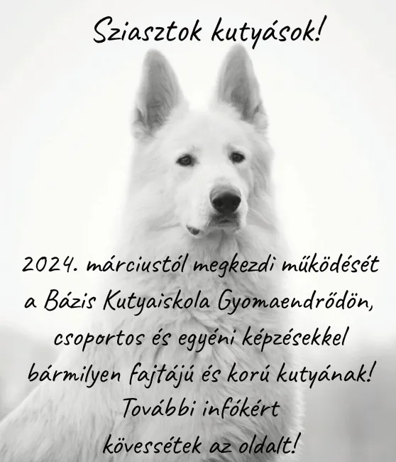 Bázis Kutyaiskola felhívása!