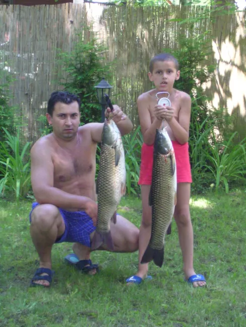 Amur (5.6 kg) - Bónom-zugi holtág
