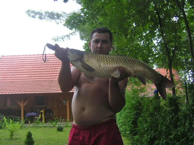 Amur (6.2 kg) - Bónom-zugi holtág