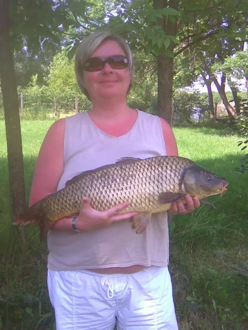 Ponty (5 kg) - Sirató holtág