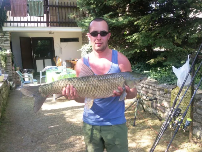 Amur (7 kg) - Bónom-zugi holtág