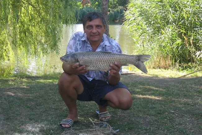 Amur (4.5 kg) - Bónom-zugi holtág