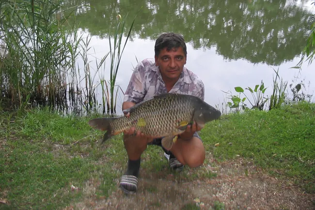 Ponty (6.8 kg) - Bónom-zugi holtág