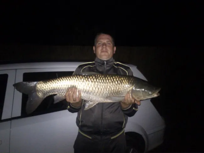 Amur (8.49 kg) - Sirató holtág