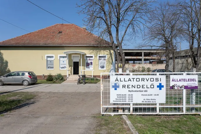 Dr. Rácz Beáta