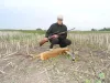 Őz (25 kg)