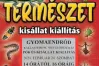 Varázslatos természet kisállat kiállítás
