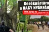 Kerékpártúra a nagy nyárfához