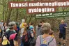 Tavaszi madármegfigyelő gyalogtúra