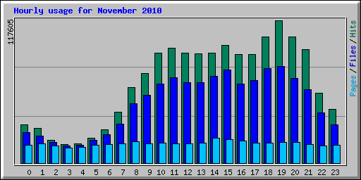Hourly usage for November 2010