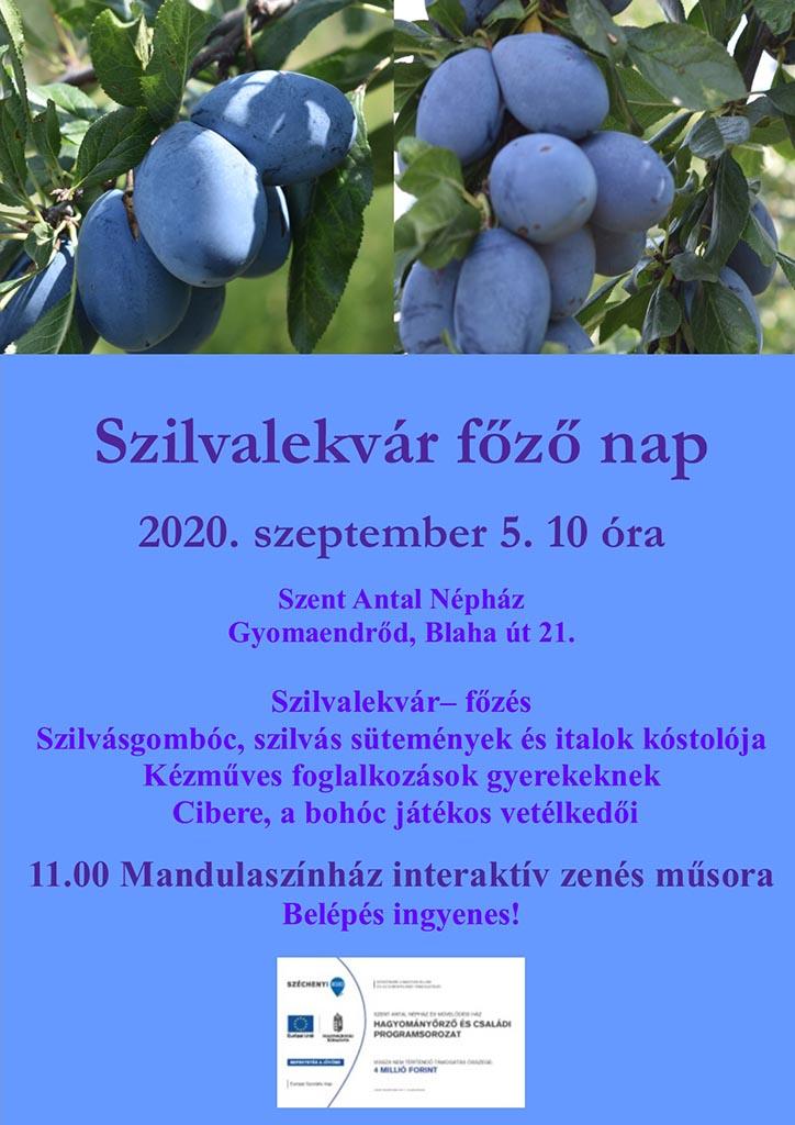 Szilvalekvár-főző nap