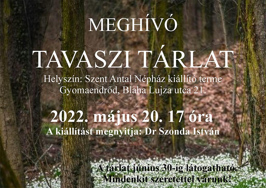 Tavaszi Tárlat