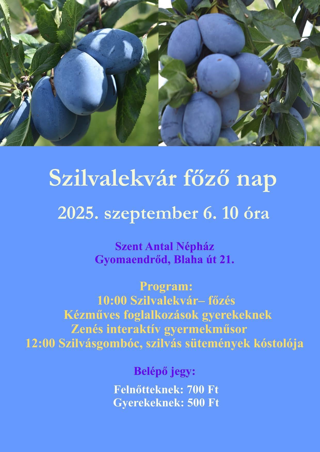 Szilvalekvár főző nap