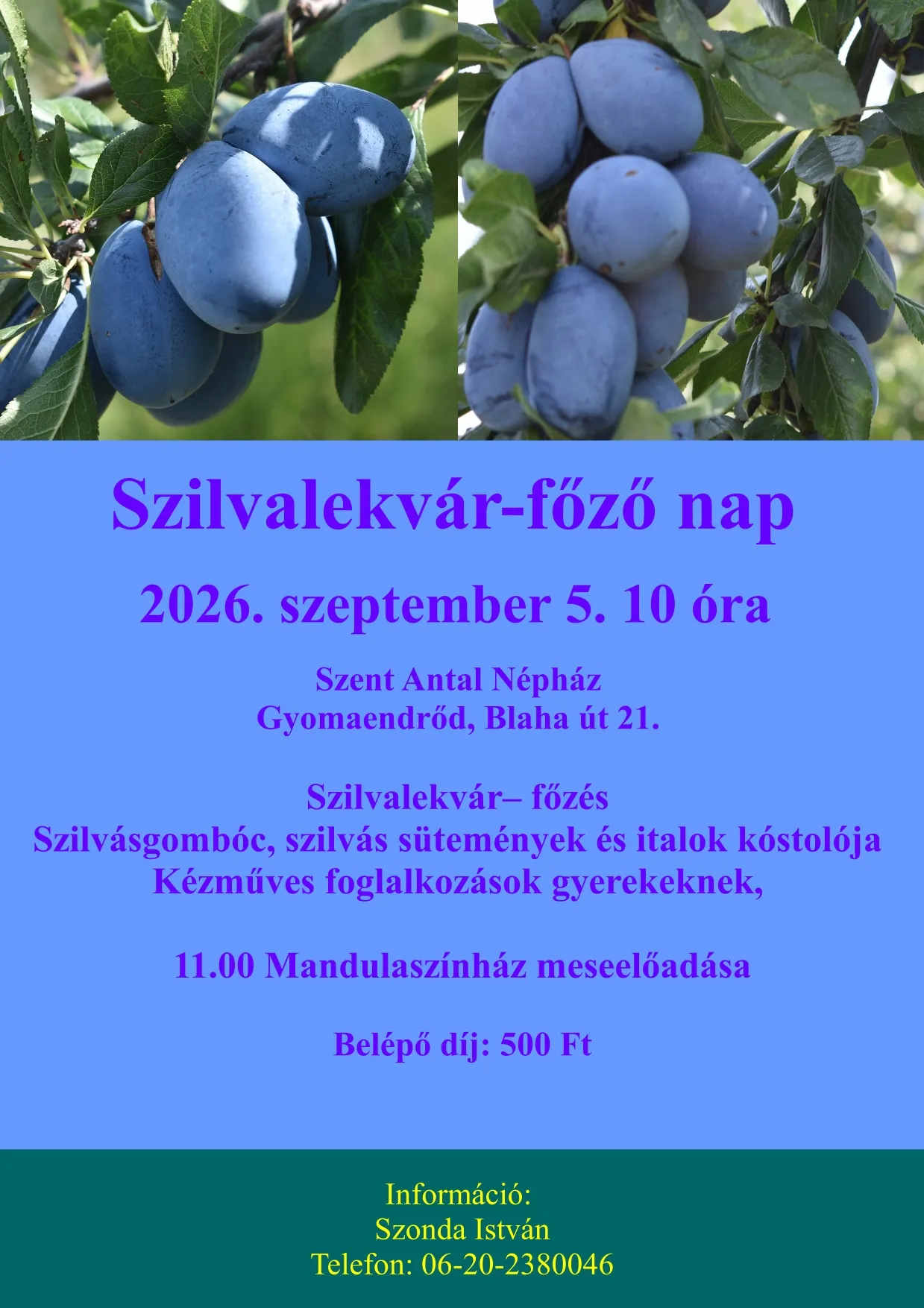 X. Szilvalekvár főző nap
