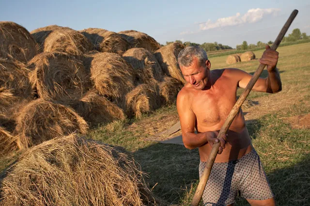 The role of the countryside