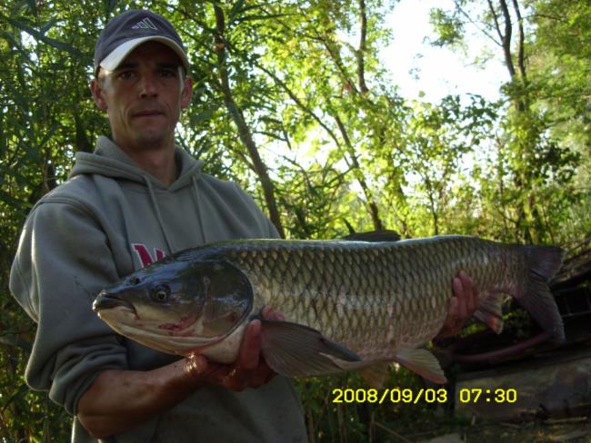 Amur (10 kg) - Bónom-zugi holtág
