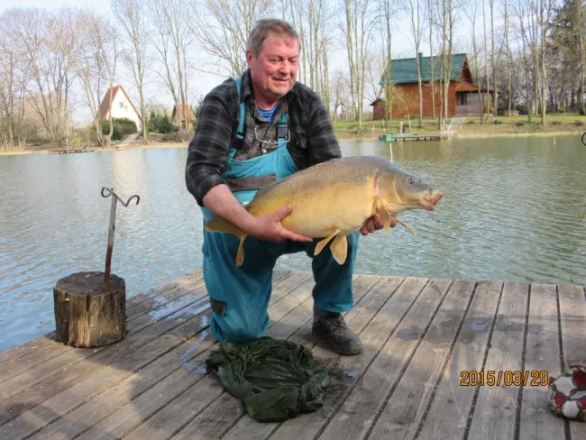 Ponty (10.8 kg) - Bónom-zugi holtág