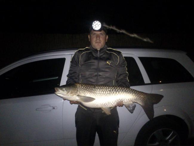 Amur (8.09 kg) - Sirató holtág
