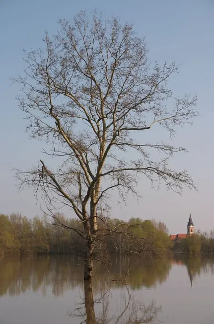Gyomaendrődi tájképek