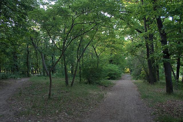 Public Park of Endrőd