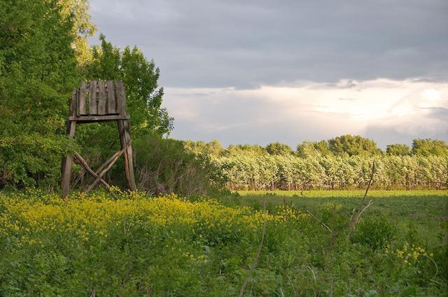 Hunting Blind in Német-zug