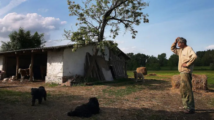 Élet egy gyomaendrődi tanyán - HD video