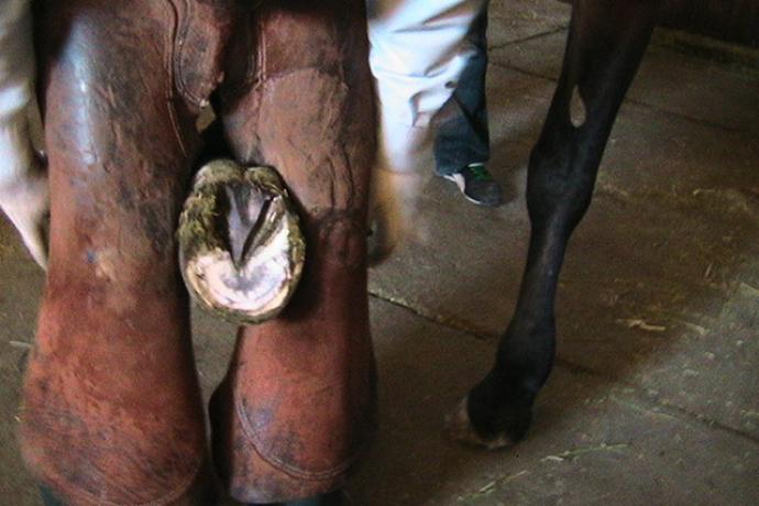 A Békés Megyei Tisza Kálmán Közoktatási Intézmény szeptemberi hírei