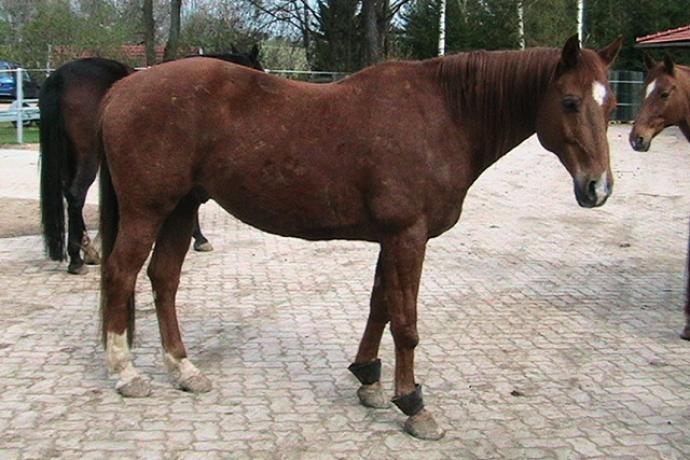 A Békés Megyei Tisza Kálmán Közoktatási Intézmény szeptemberi hírei