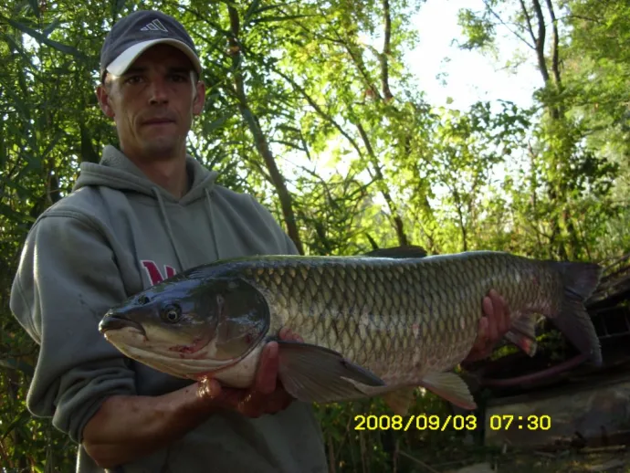 Amur (10 kg) - Bónom-zugi holtág