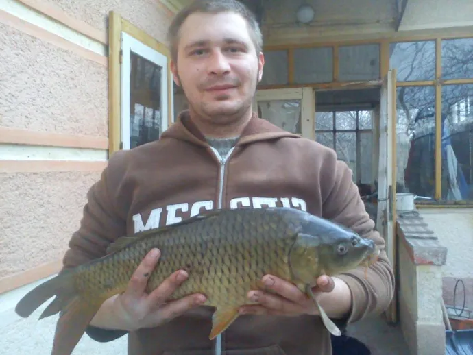 Ponty (3 kg) - Hantoskerti holtág