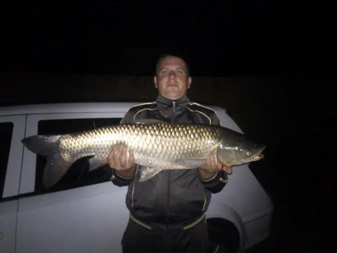 Amur (8.49 kg) - Sirató holtág
