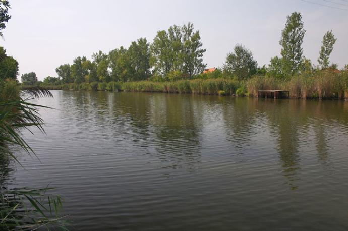 Danzugi holtág
