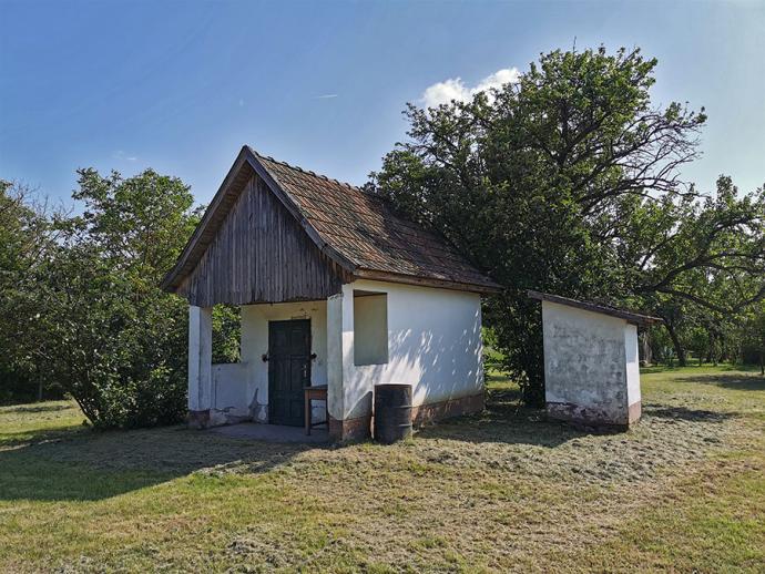 Poczos-kert
