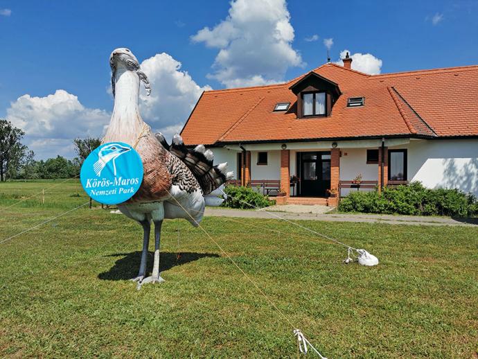 Rezervatul de dropii din Dévaványa