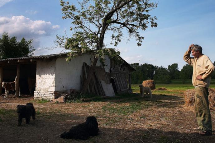 A Day at the Farm