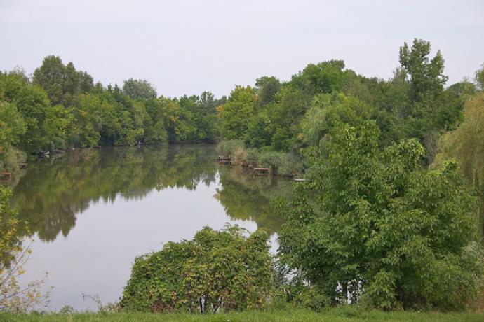 Sóczó-zugi holtág